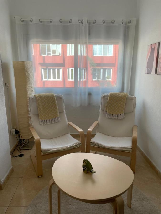 Sunny Apartment In The Heart Of Santa Cruz Exterior photo